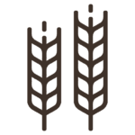 2corn